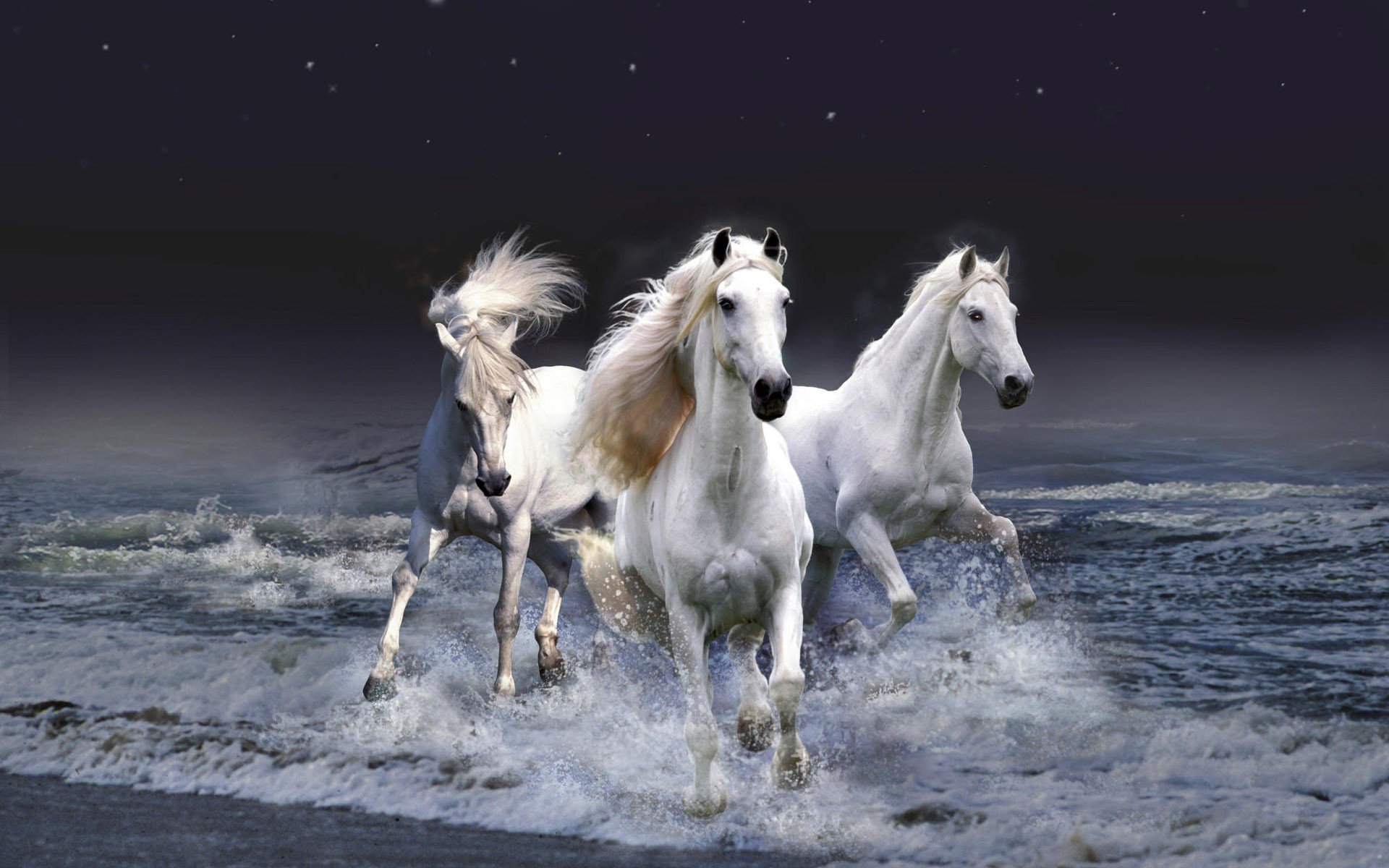 3d, View, Horses, Photo, Manipulation Wallpaper