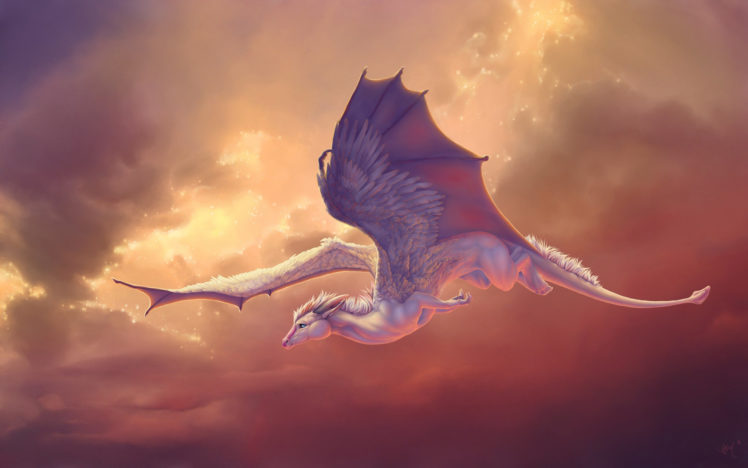 dragon, Flying, Artwork HD Wallpaper Desktop Background