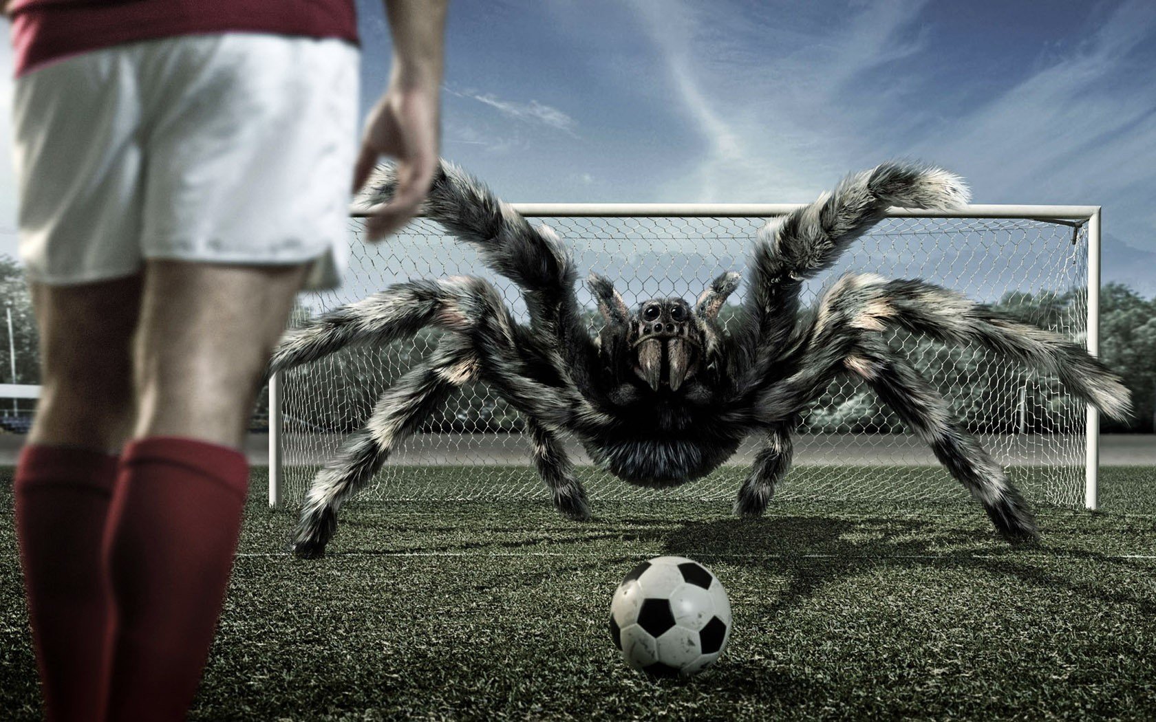 3d, View, Spiders Wallpaper
