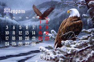 calendar, February, 2014, Eagle, Winter, Snow
