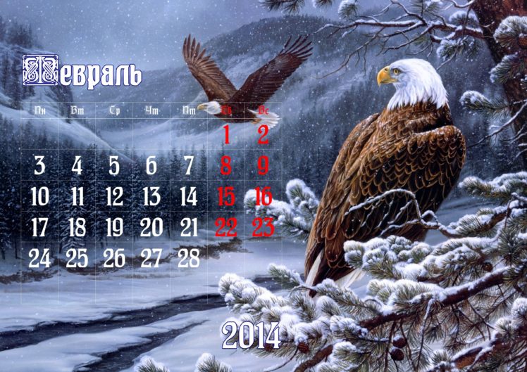 calendar, February, 2014, Eagle, Winter, Snow HD Wallpaper Desktop Background