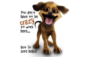 dogs, Crazy, Slogan