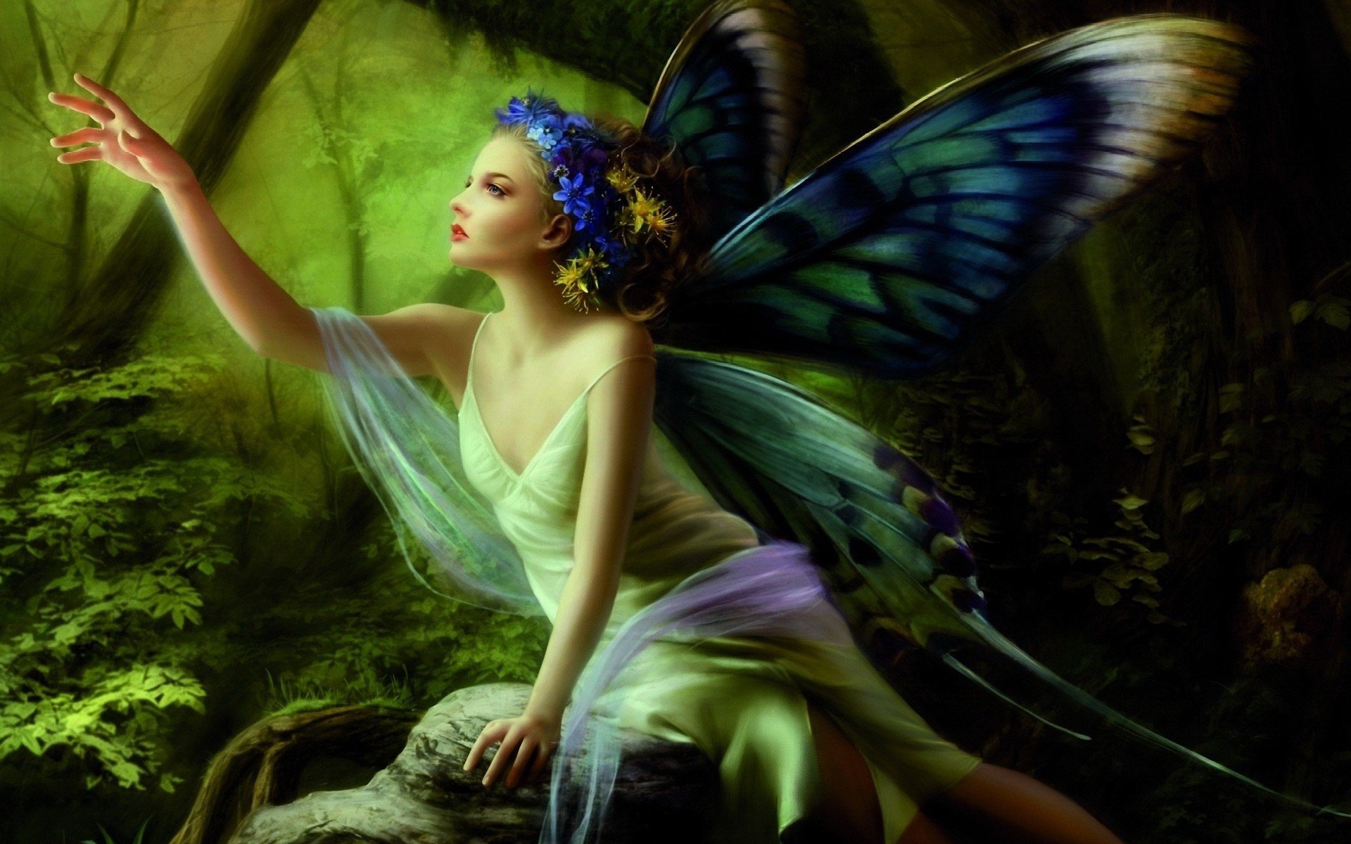 fairies Wallpaper