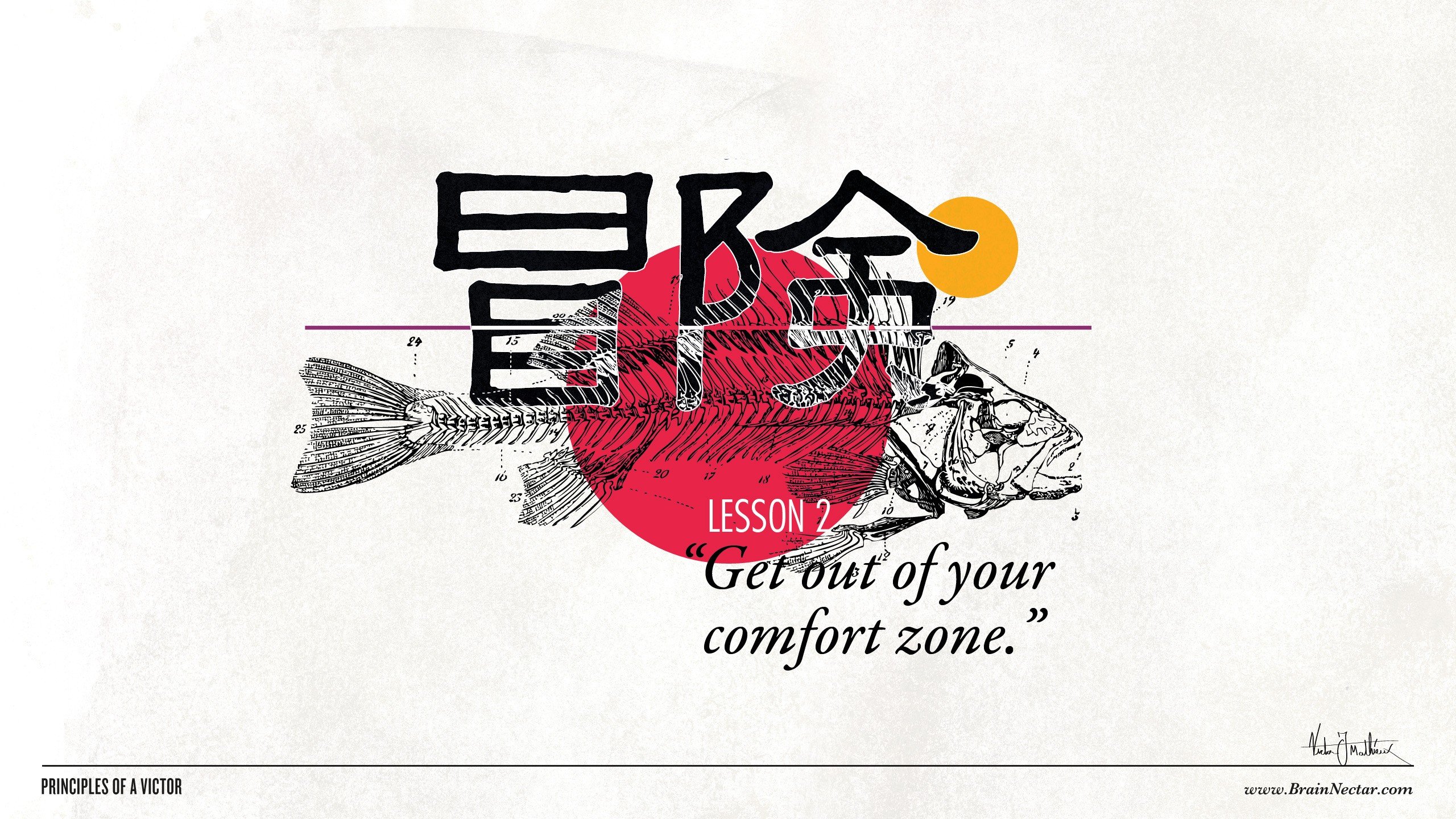 quotes, Fish, Typography, Lesson, Artwork, Inspirational, Motivation, Comfort Wallpaper