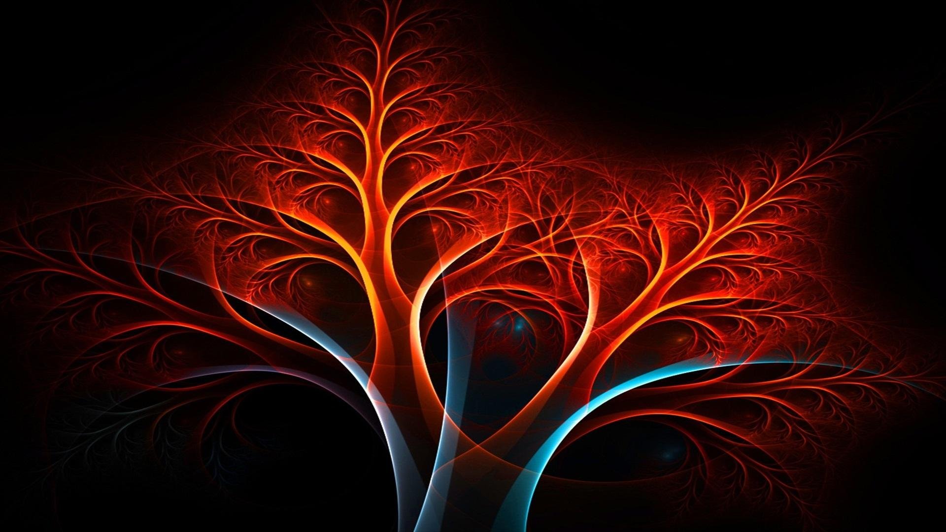 266381 Wallpaper