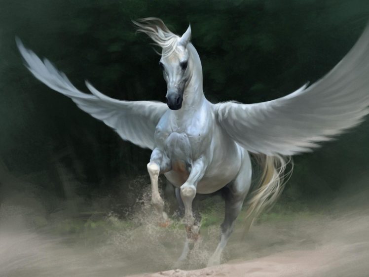 wings, Fantasy, Art, Pegasus HD Wallpaper Desktop Background