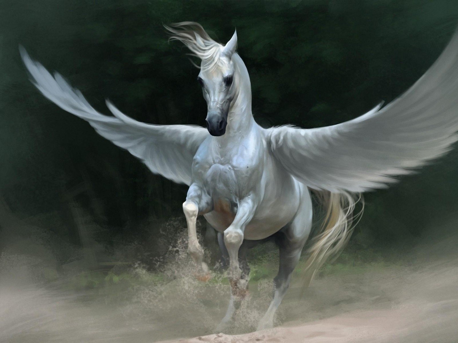 wings, Fantasy, Art, Pegasus Wallpaper