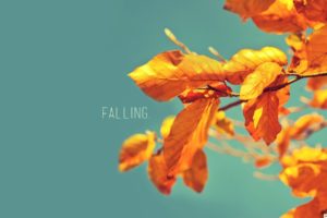 nature, Autumn, Leaves, Typography, Blue, Skies