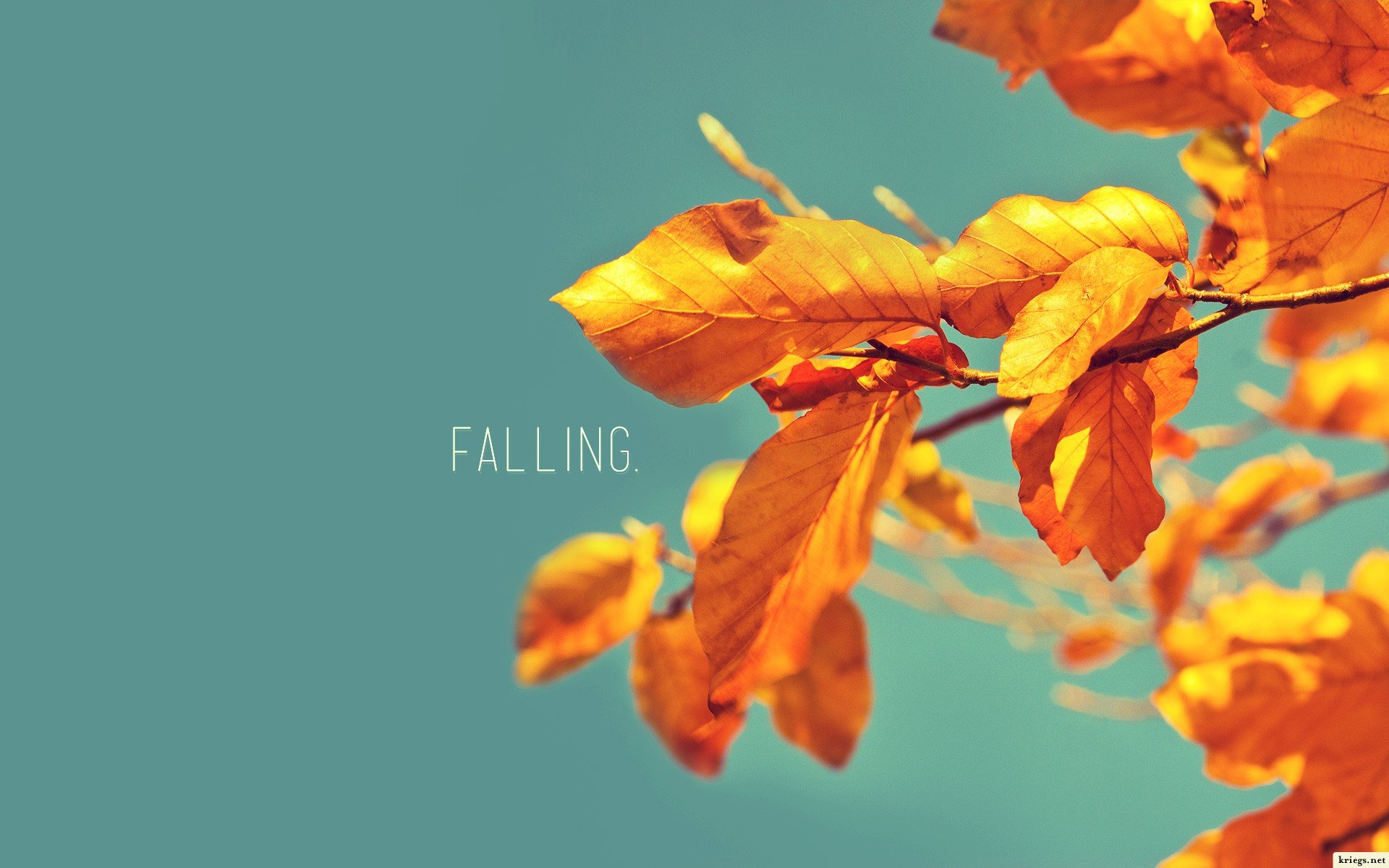 nature, Autumn, Leaves, Typography, Blue, Skies Wallpaper
