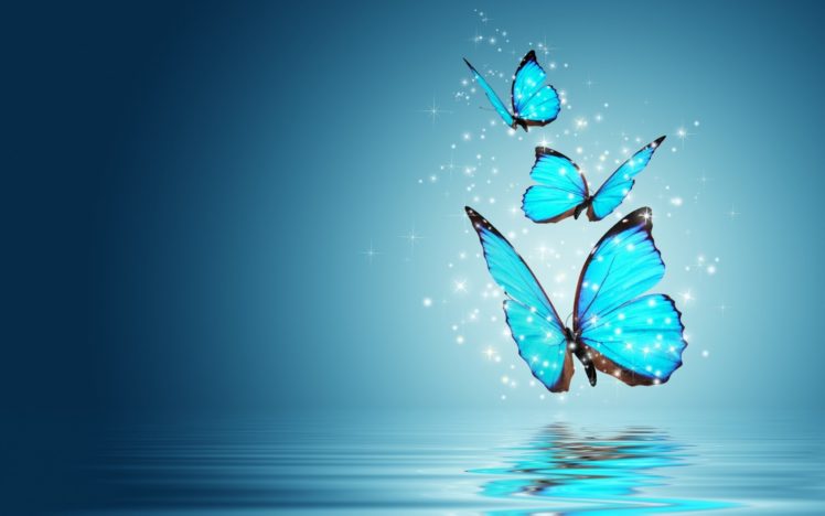 magic, Butterfly, Fantasy, Mood, Bokeh HD Wallpaper Desktop Background