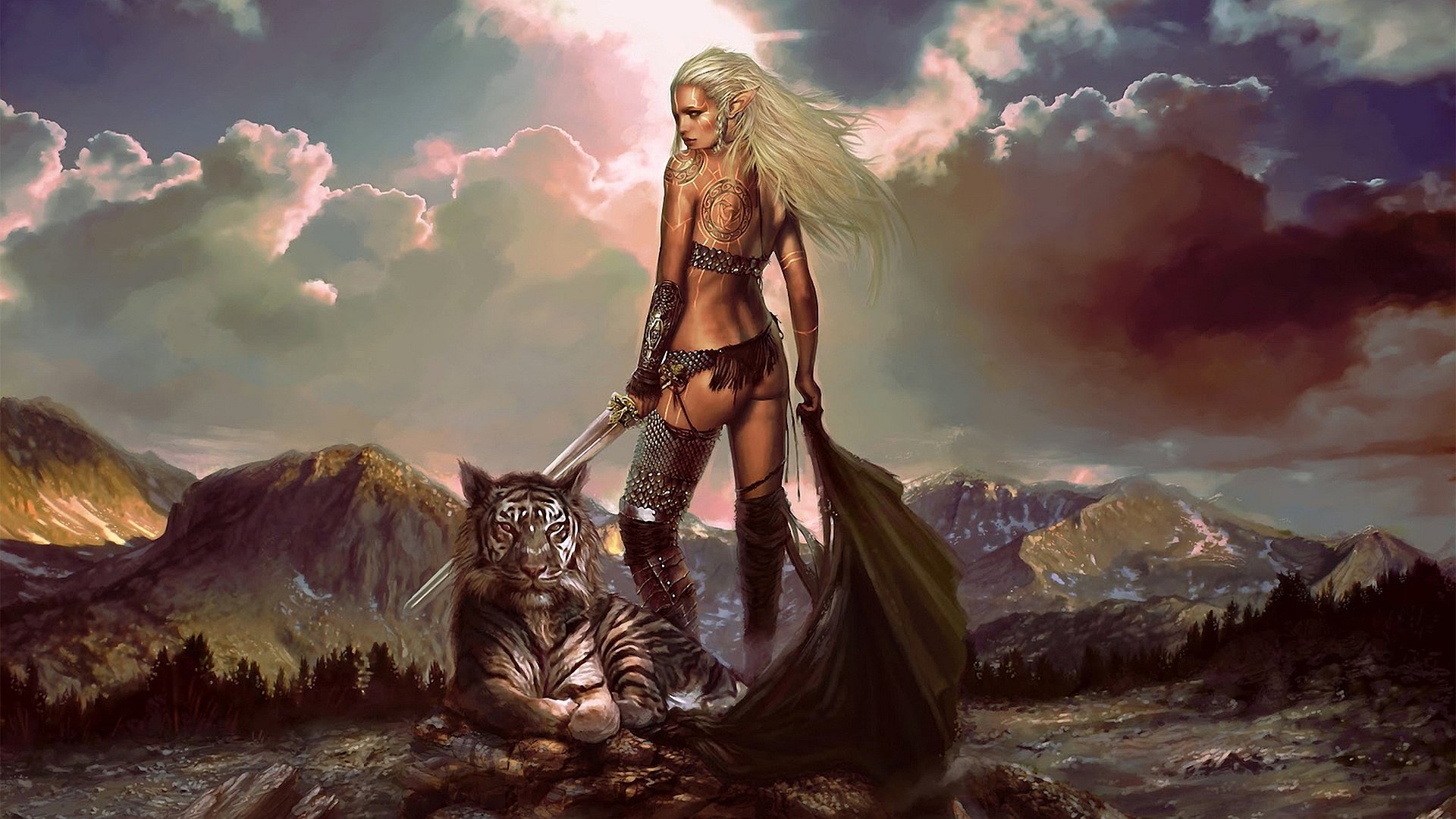 293152 Wallpaper