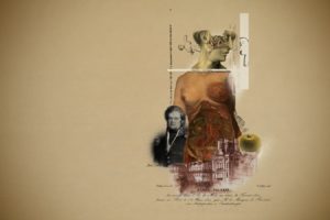 anatomy, Collage