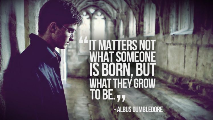 quotes, Harry, Potter, Daniel, Radcliffe, Albus, Dumbledore HD Wallpaper Desktop Background