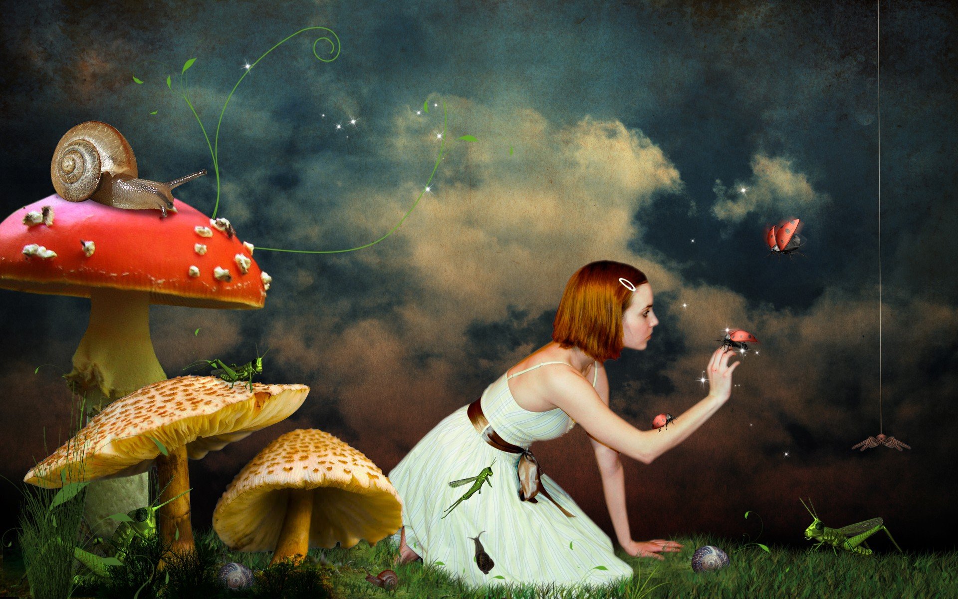 women, Redheads, Mushrooms, Fantasy, Art, Snails, Spiders, Ladybirds Wallpaper