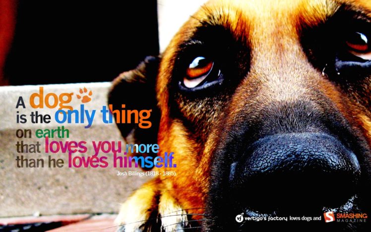 text, Animals, Quotes, Dogs HD Wallpaper Desktop Background