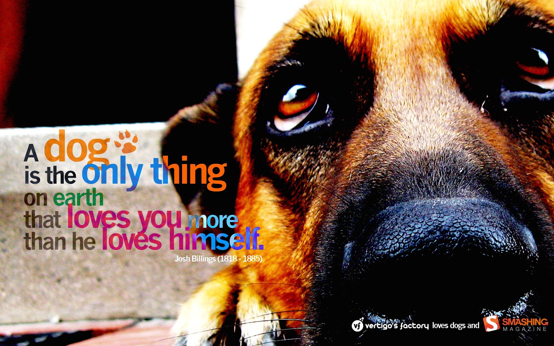 text, Animals, Quotes, Dogs Wallpaper