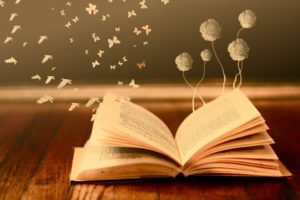 bokeh, Mood, Books, Read, Pages, Flowers, Butterfly, Fantasy