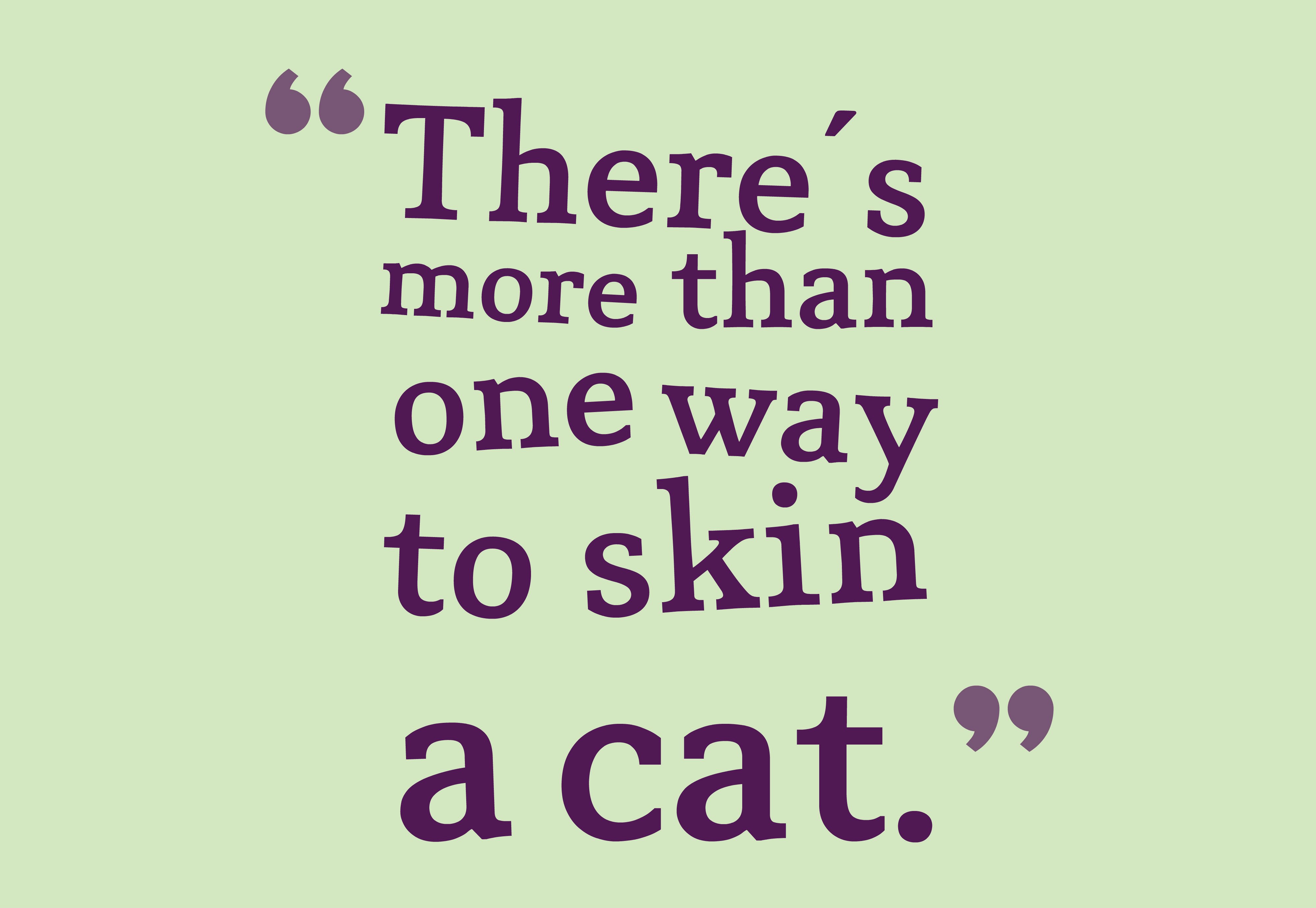 cat, Meme, Quote, Funny, Humor, Grumpy,  65 Wallpaper