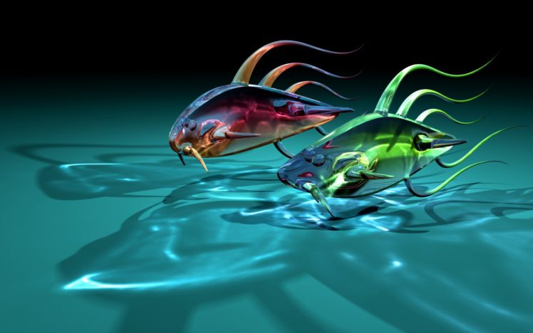 art, Fish, Goldfish, Two, Glass, Transparent, Shadow, Fishes HD Wallpaper Desktop Background