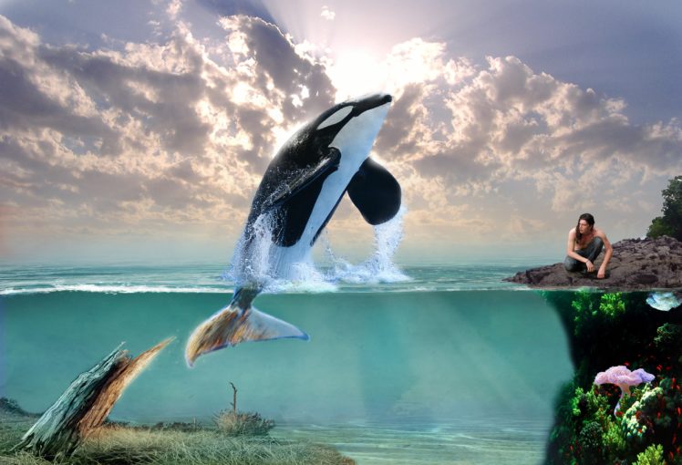 dolphin, 3d, Art, Orca, Whale, Ocean, Fantasy, Creative HD Wallpaper Desktop Background