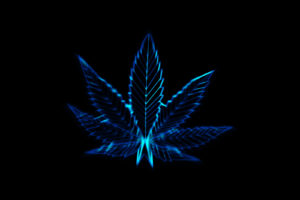 pot, Leaves, Marijuana, Drugs