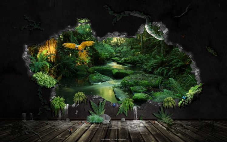 jungle, View HD Wallpaper Desktop Background