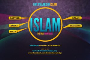 islam, Religion, Muslim