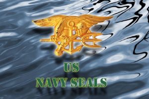 navy, Logo, Military, Poster,  14