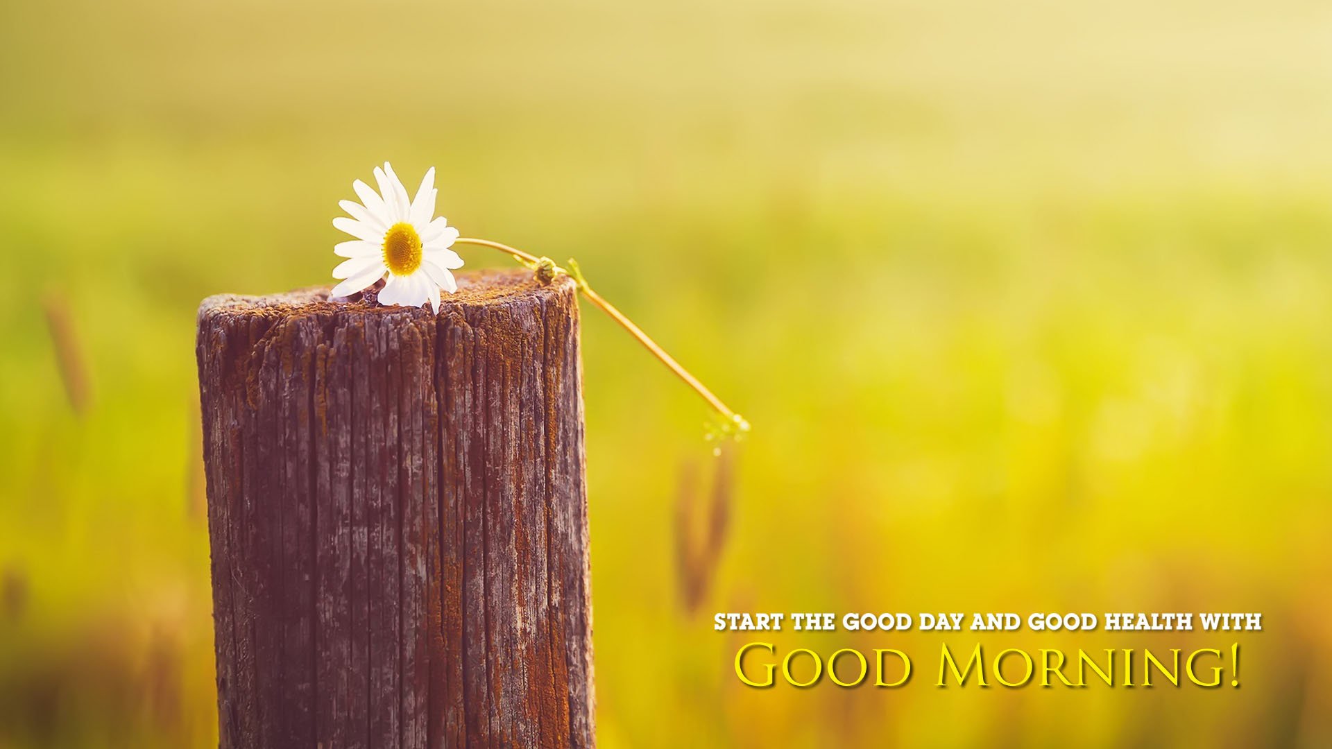 good, Morning, Greetings, Motivational, Mood Wallpapers HD / Desktop