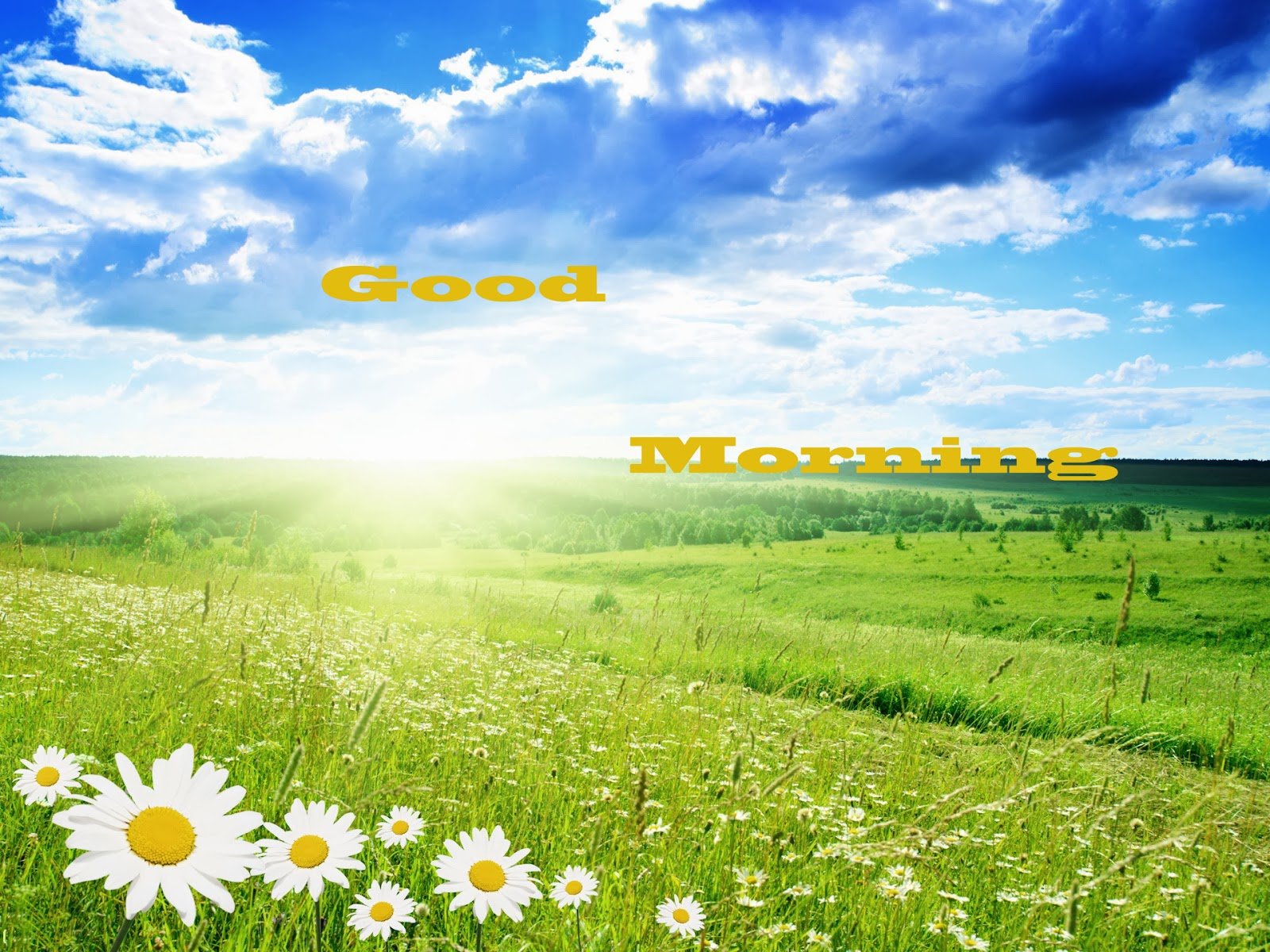 good, Morning, Greetings, Motivational, Mood Wallpaper