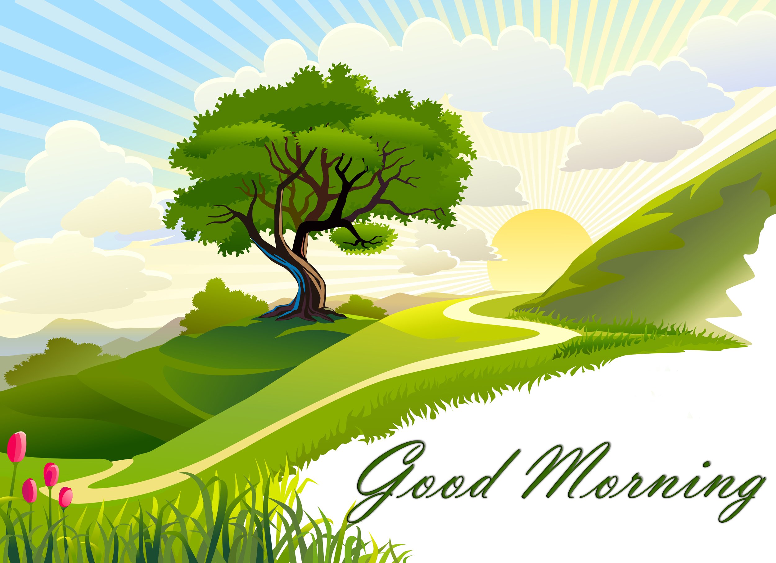 good, Morning, Greetings, Motivational, Mood Wallpaper