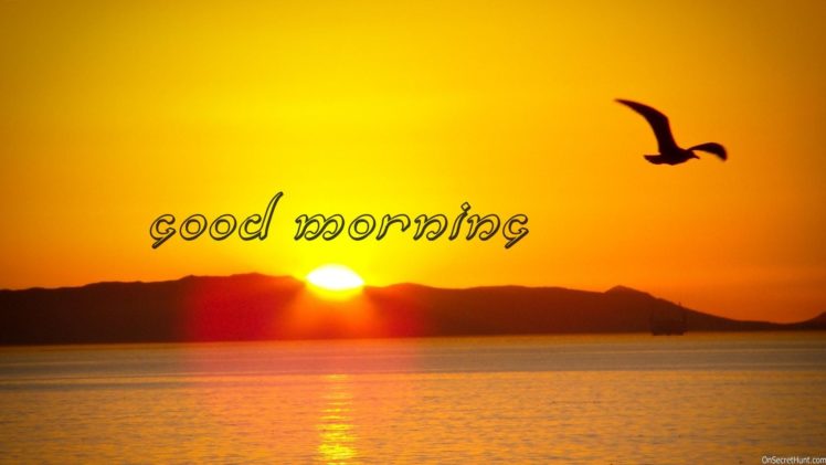 good, Morning, Greetings, Motivational, Mood Wallpapers HD / Desktop ...