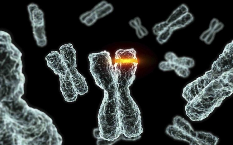 chromosome, Dna, Pattern, Genetic, 3 d, Psychedelic HD Wallpaper Desktop Background