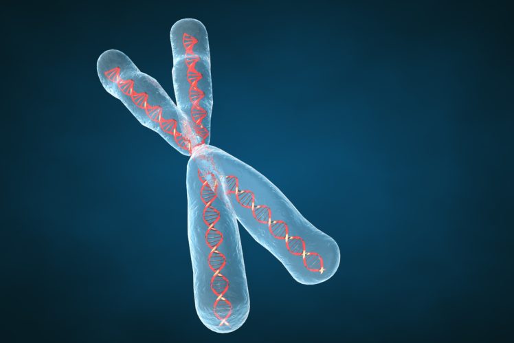 chromosome, Dna, Pattern, Genetic, 3 d, Psychedelic HD Wallpaper Desktop Background