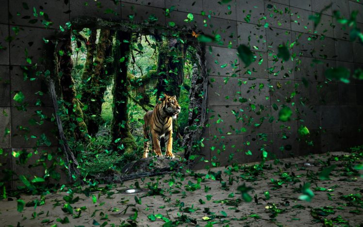 brave, Tigre, Apparition HD Wallpaper Desktop Background