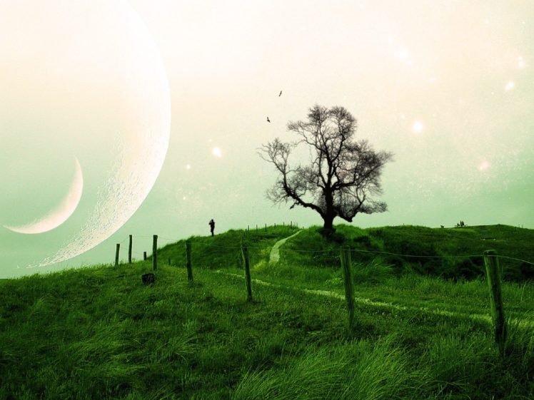 people, Landscapes, Trees, Sky, Moon, Planets, Sci fi, Bords, Mood HD Wallpaper Desktop Background