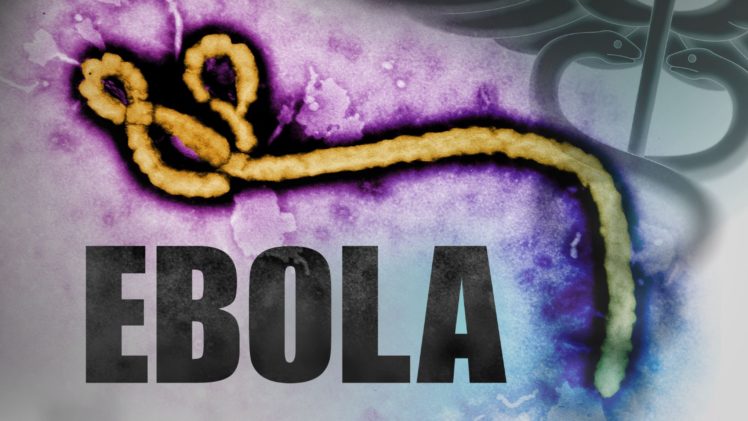 ebola, Virus, Disease, Medical, Dark, Horror Wallpapers HD / Desktop and  Mobile Backgrounds