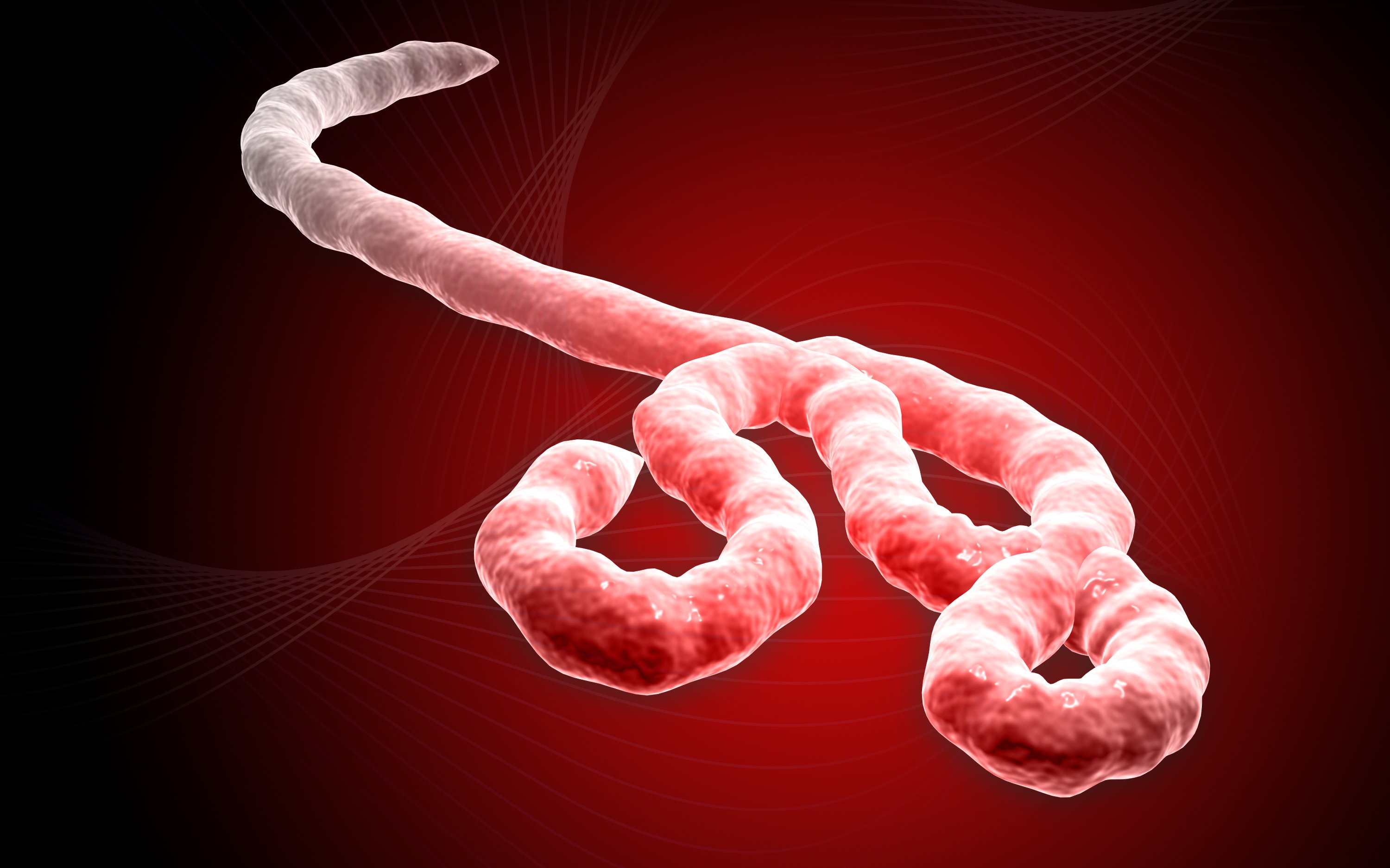 ebola virus, Disease outbreaks | VoxyTalksy