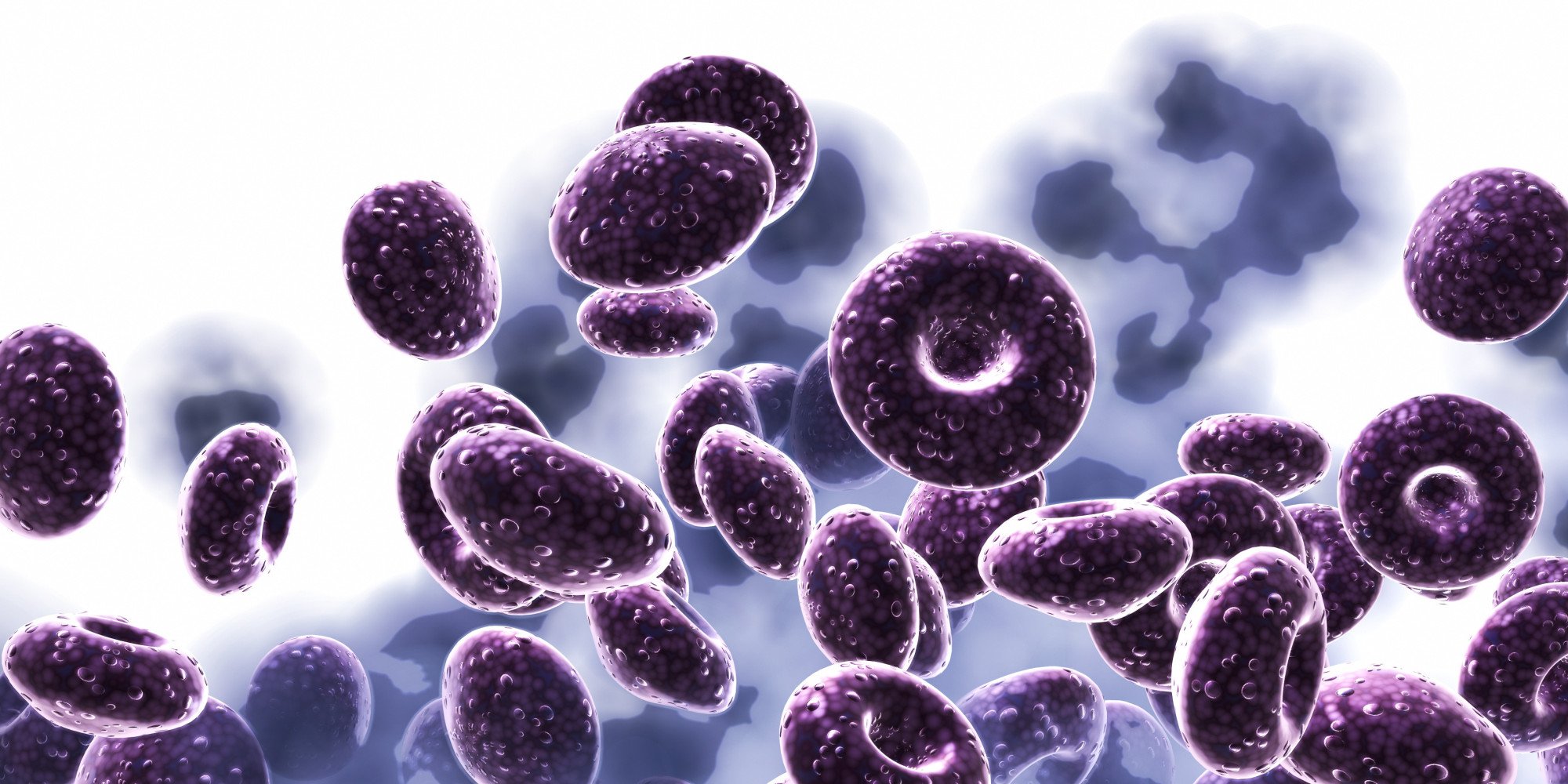 flu, Virus, Medical, Disease Wallpaper