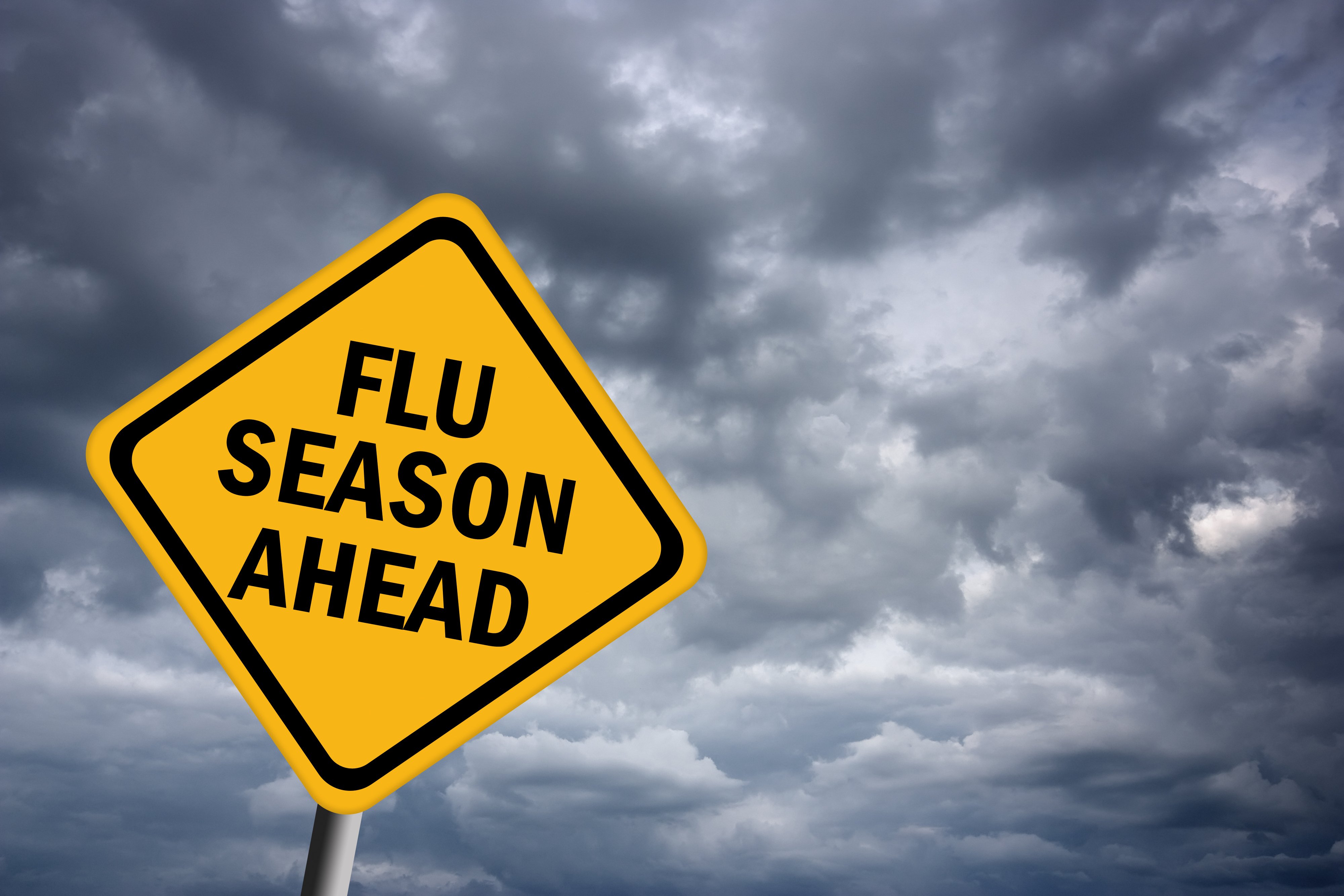 flu, Virus, Medical, Disease, Signh Wallpaper
