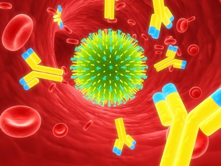 flu, Virus, Medical, Disease HD Wallpaper Desktop Background