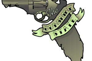 gun, Control, Weapon, Politics, Anarchy, Protest, Political, Weapons, Guns, Florida