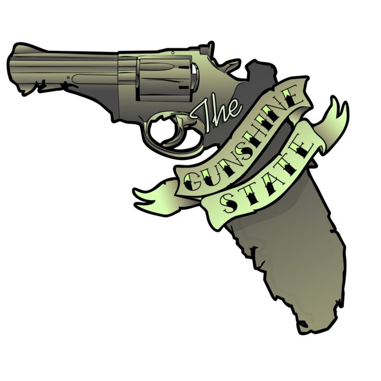 gun, Control, Weapon, Politics, Anarchy, Protest, Political, Weapons, Guns, Florida HD Wallpaper Desktop Background