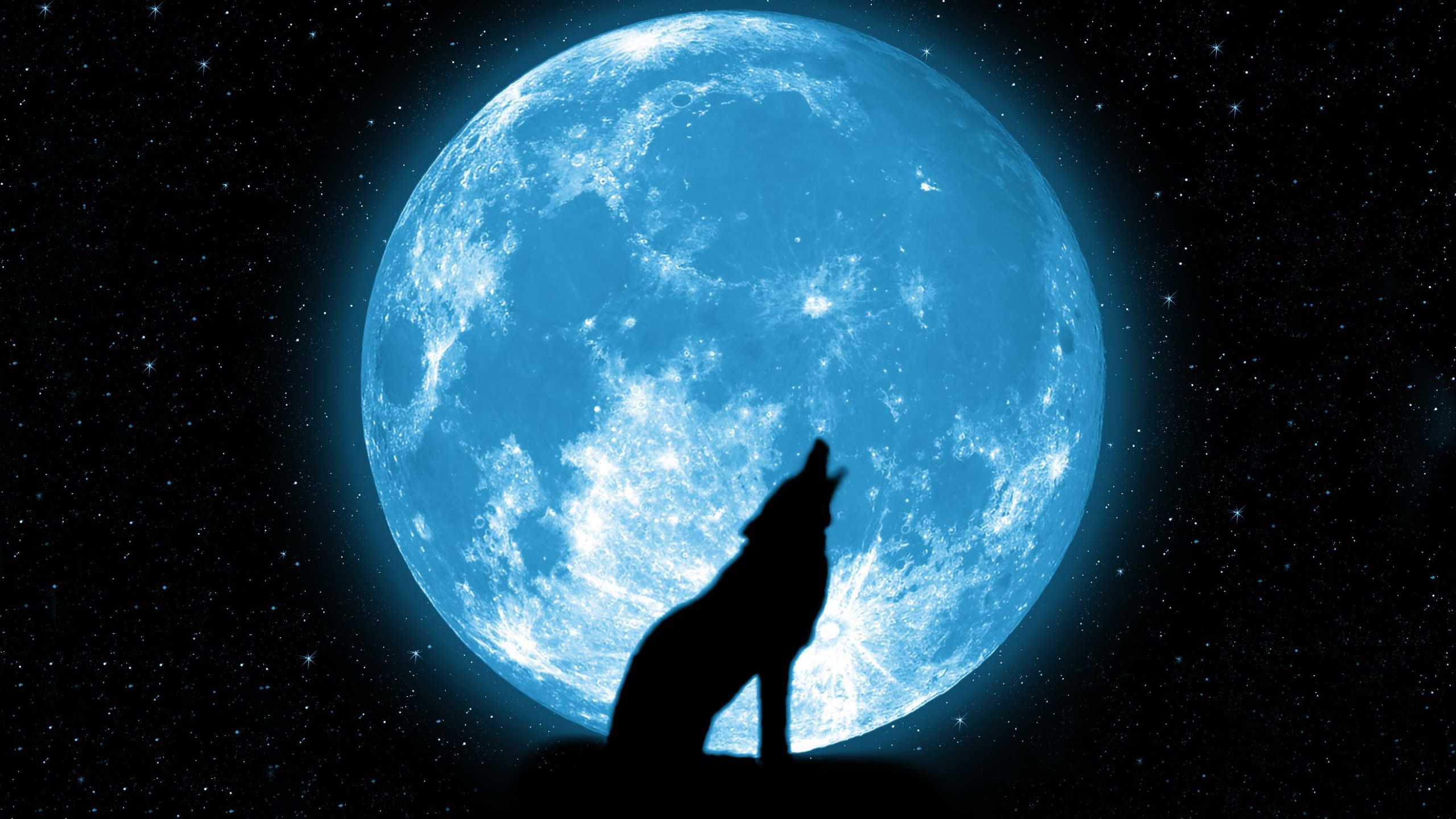 wolf, Howling, Stars, Beautiful, Silhouette, Space, Sky Wallpaper