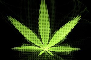 marijuana, 420, Weed, Mary, Jane, Drugs, Neon