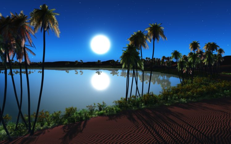 oasis, Night HD Wallpaper Desktop Background