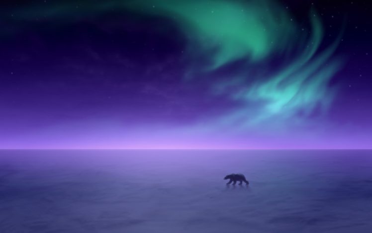 aurora, Borealis, Alaska, Snow, Landscapes, Polar, Bears HD Wallpaper Desktop Background