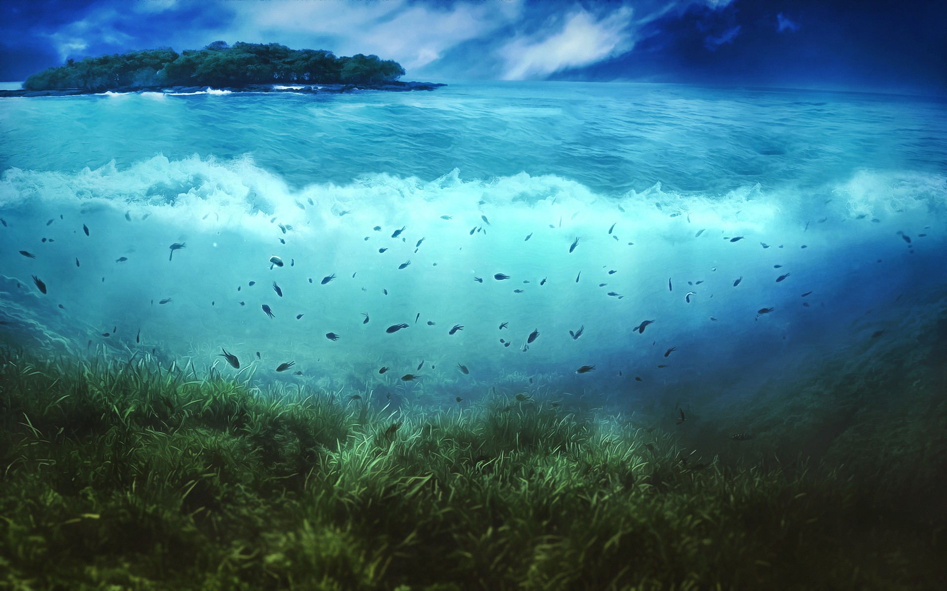 fish, Islands, Underwater, Seaweed, Split view Wallpaper