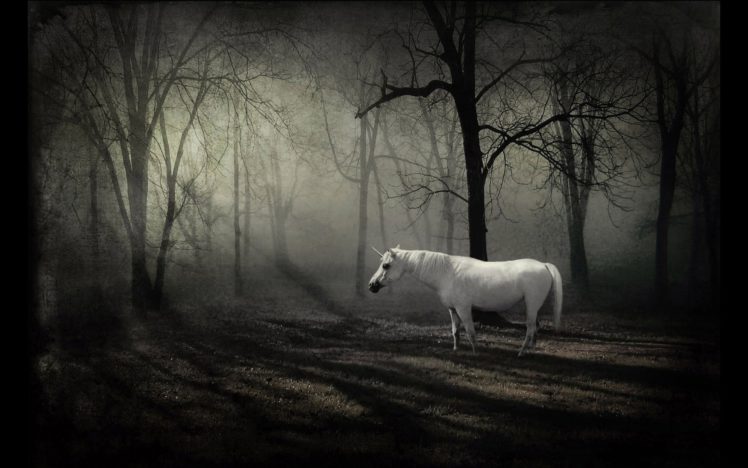 unicorn, In, The, Forest HD Wallpaper Desktop Background
