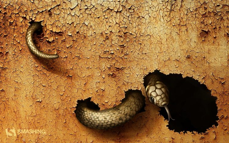 dangerous, Snake HD Wallpaper Desktop Background